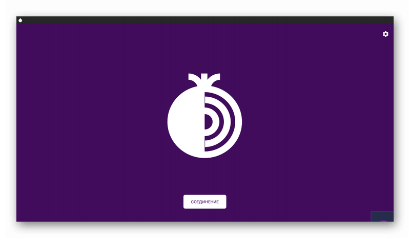 Окно программы Tor