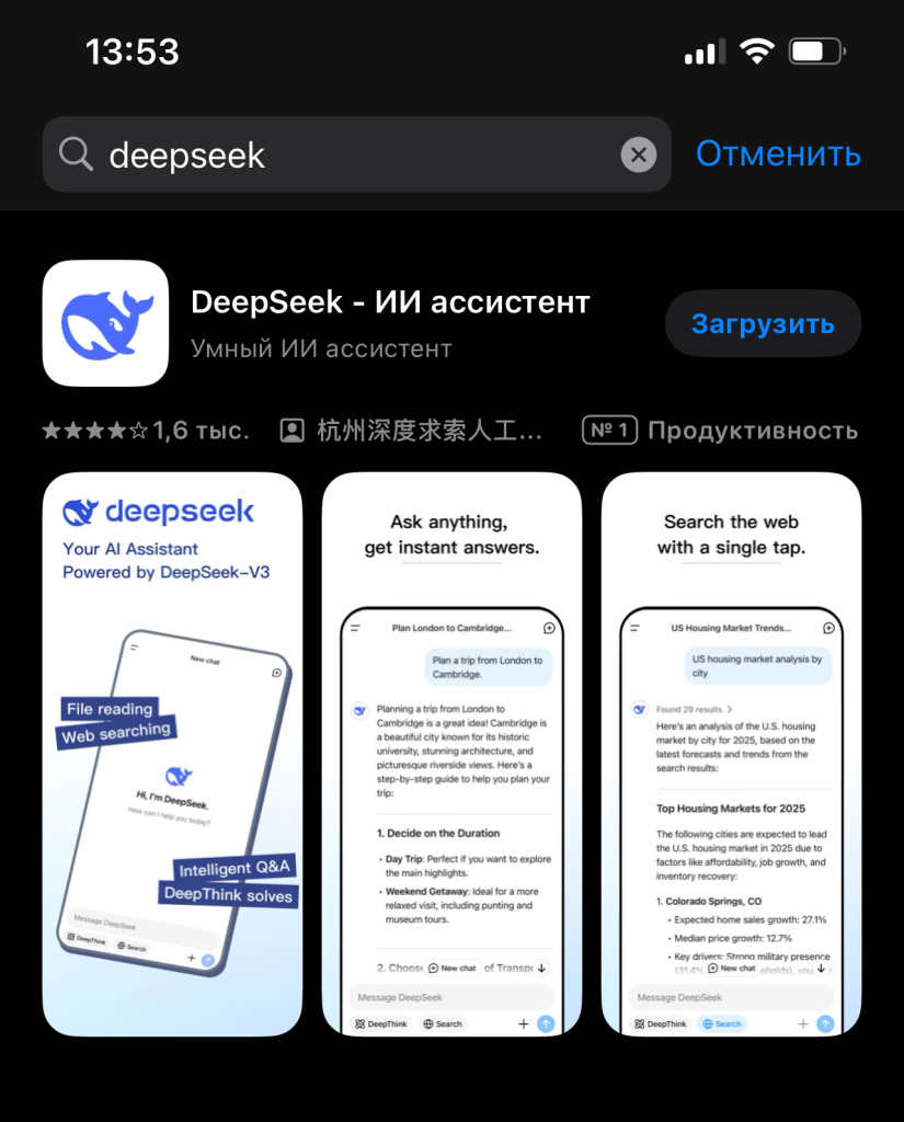 DeepSeek для iPhone