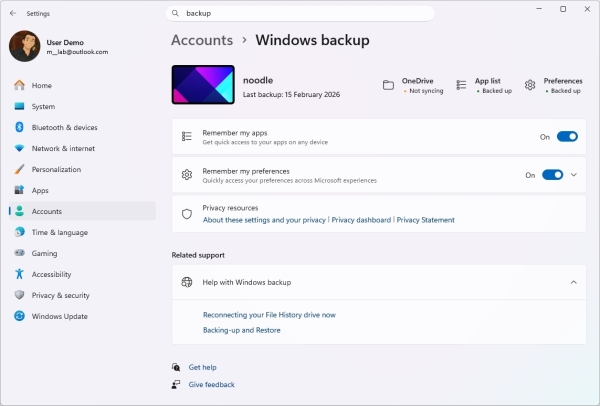 Windows backup settings