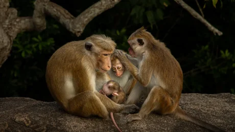 11 потрясающих финалистов премии «Молодежный фотограф года»