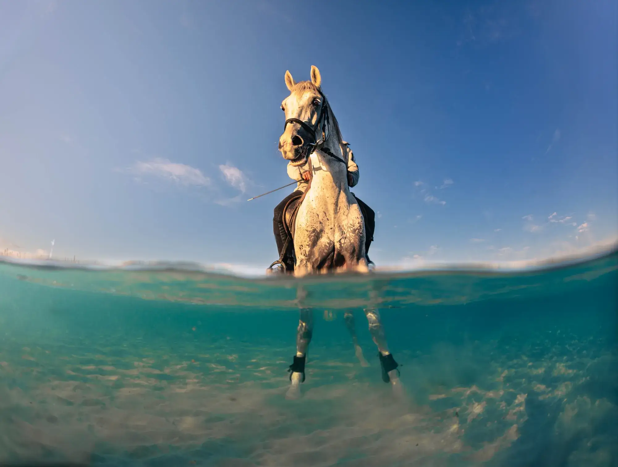 a horse and rider entered the water, using an over-under perspective to show both environments in a single frame.