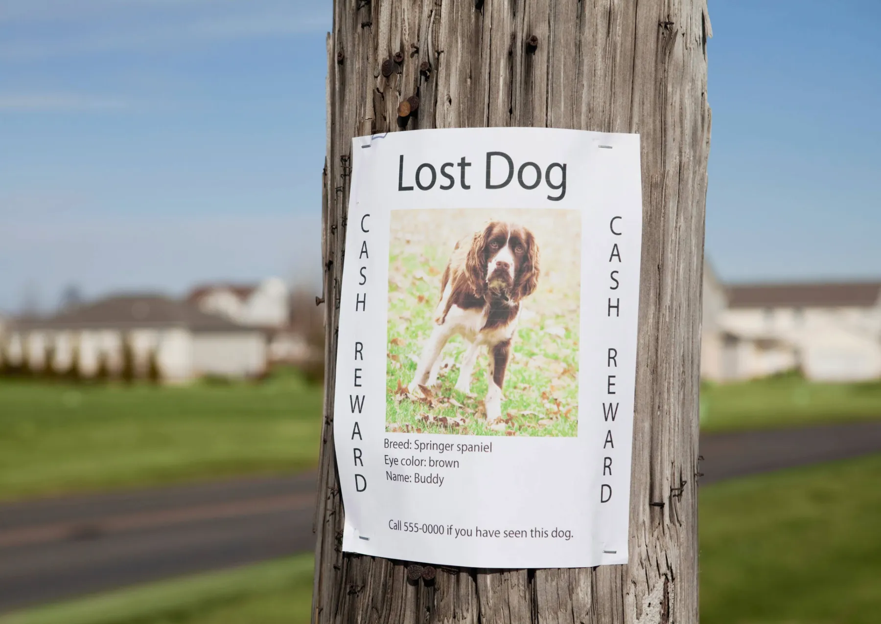 a flyer on a telephone pole that reads 