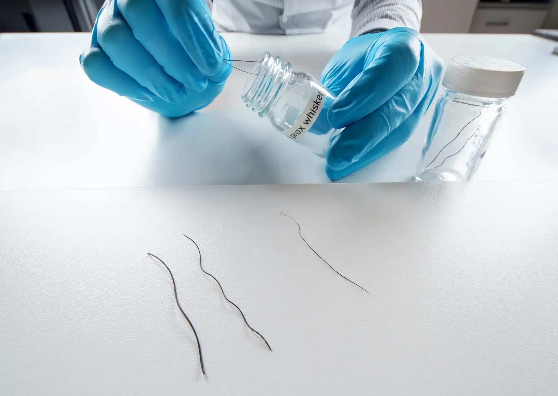 a scientist wearing a blue glove handles elephant whiskers on a white table. they look like wires