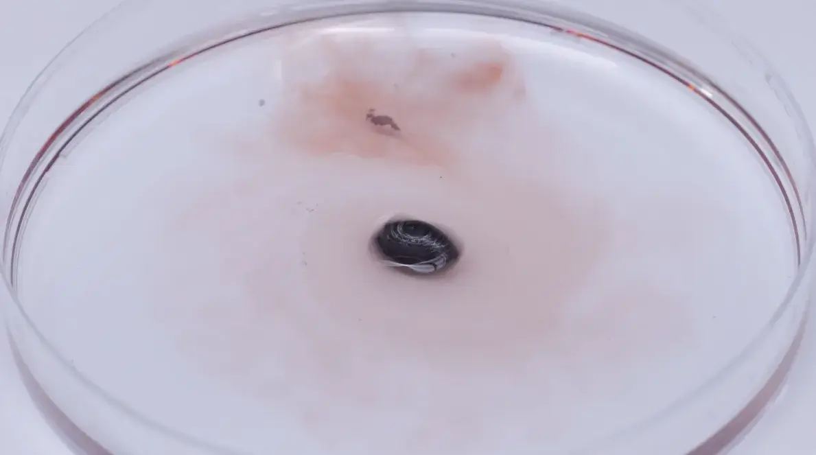 Демонстрация автономного открытия крышки капсулой, смешивающей реагенты