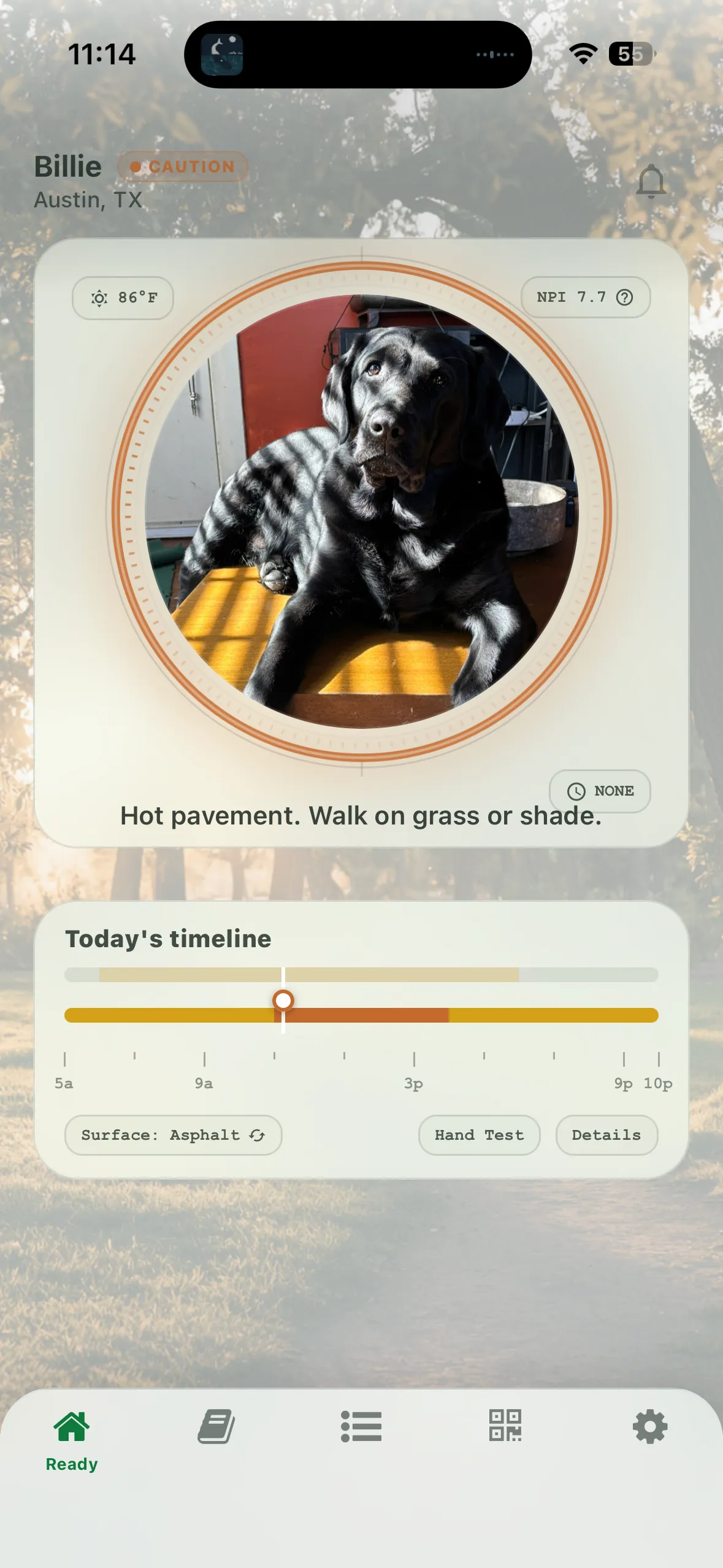 a screen shot of an iphone app with the picture of a dog that reads "hot pavement. walk on grass or shade"