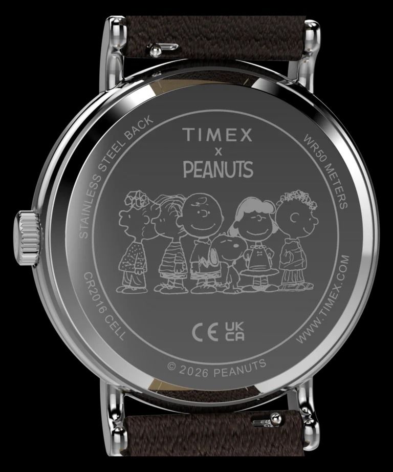 Часы Timex Peanuts Weekender Pumpkin