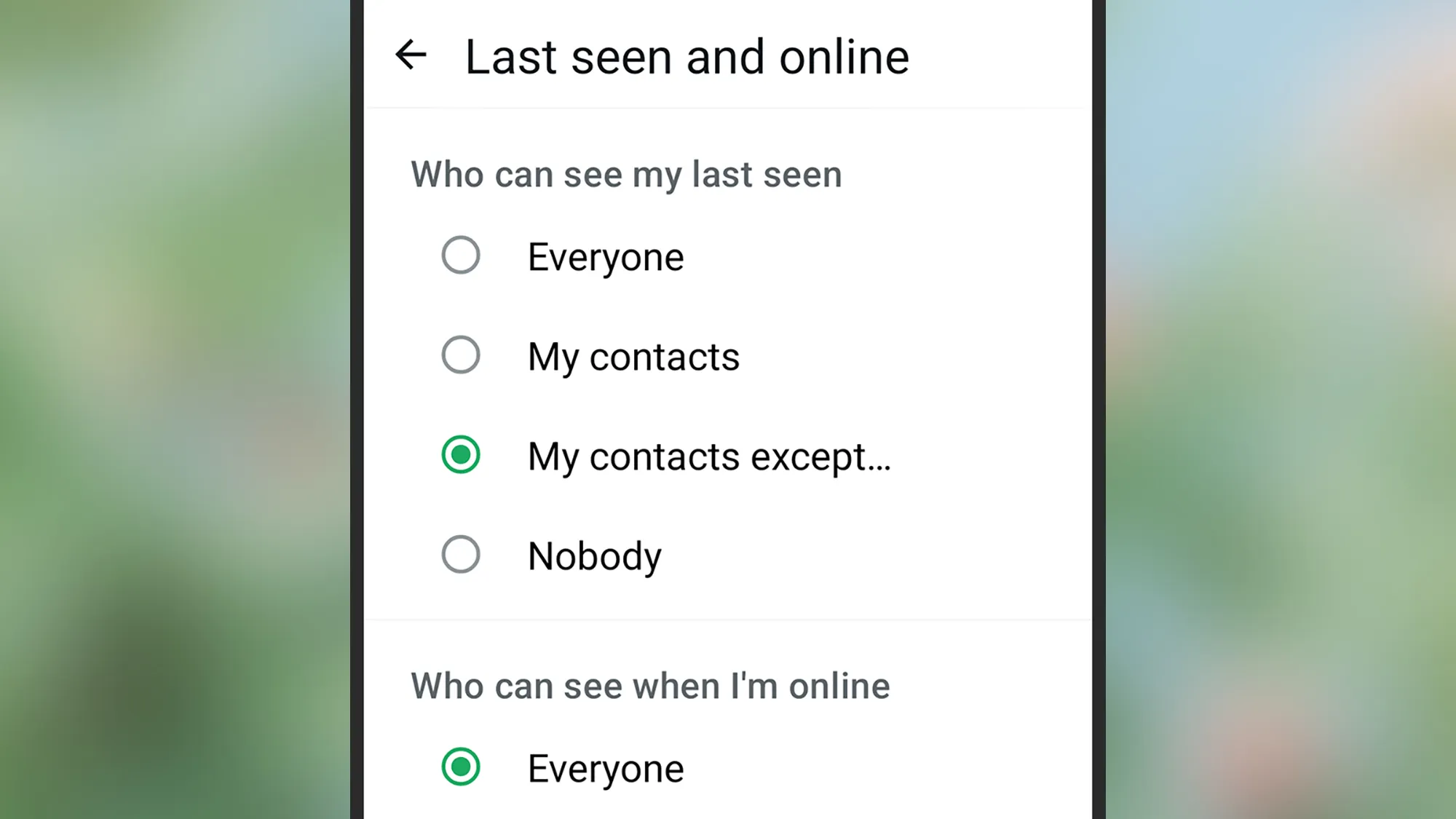 A screenshot of WhatsApps' activity access screen on a smartphone